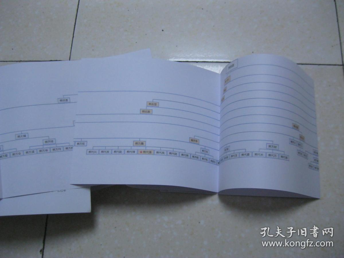 熊氏家谱新编(重庆巴县曾家乡一带.