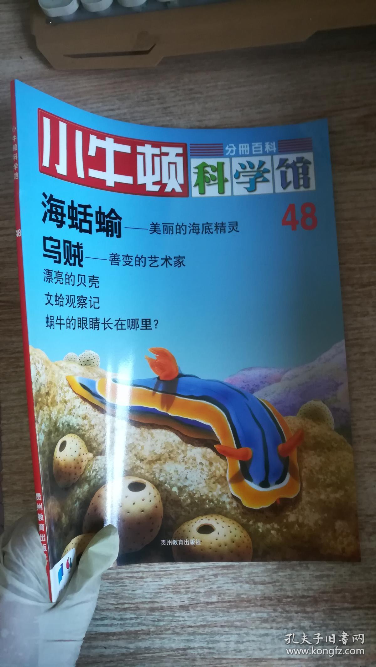 小牛顿科学馆 40