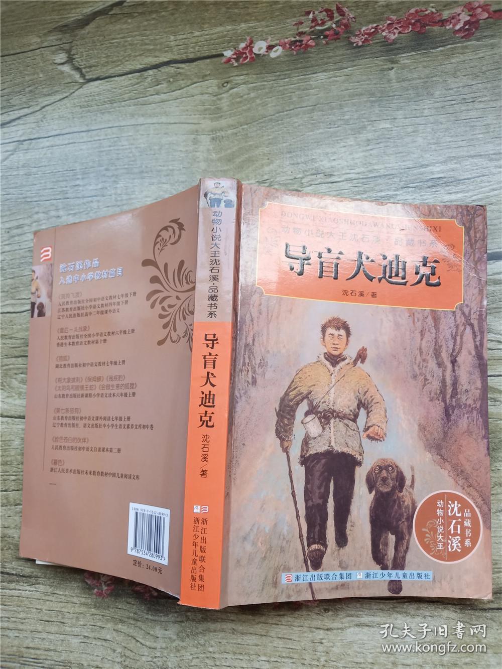 导盲犬迪克--*