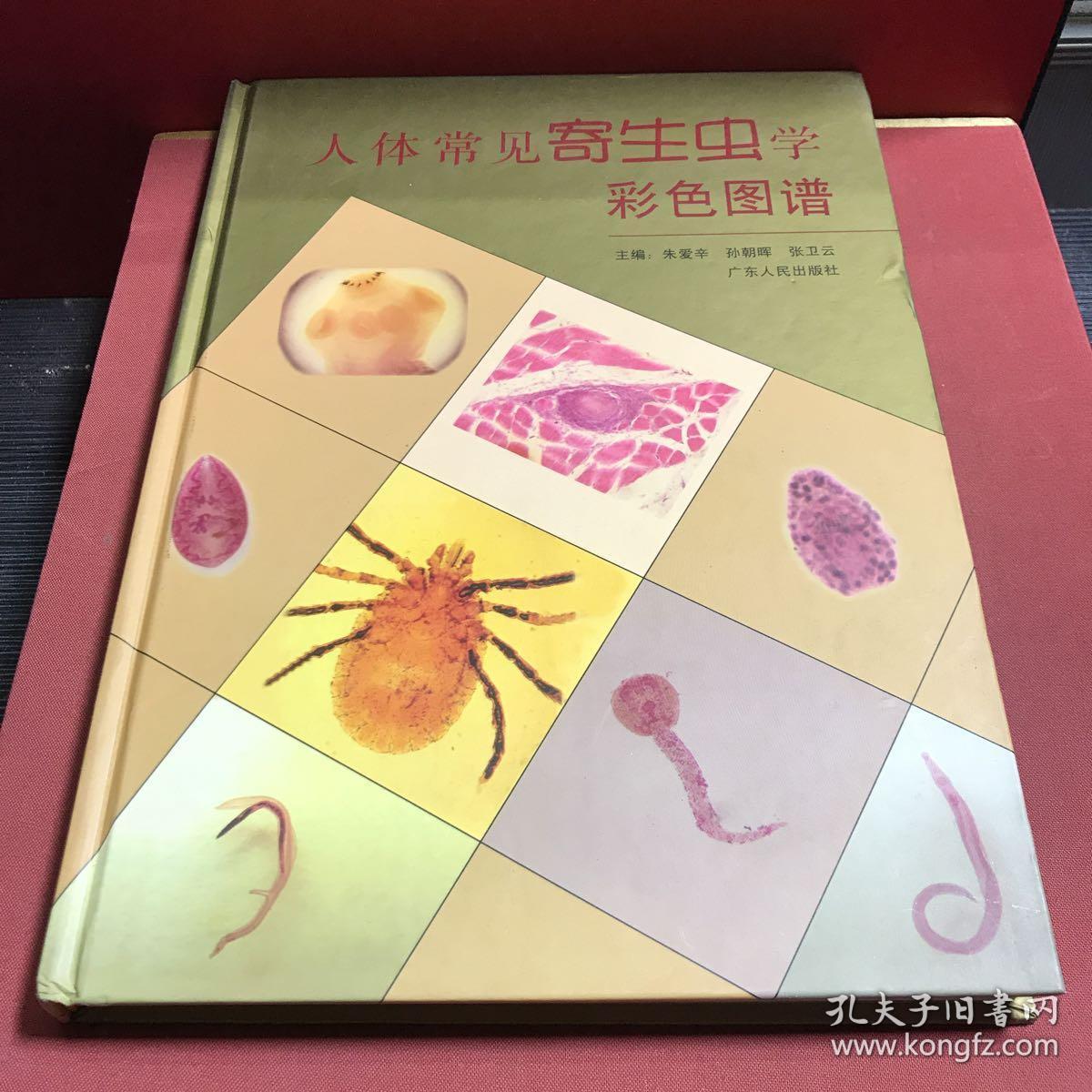 人体常见寄生虫学彩色图谱(精)