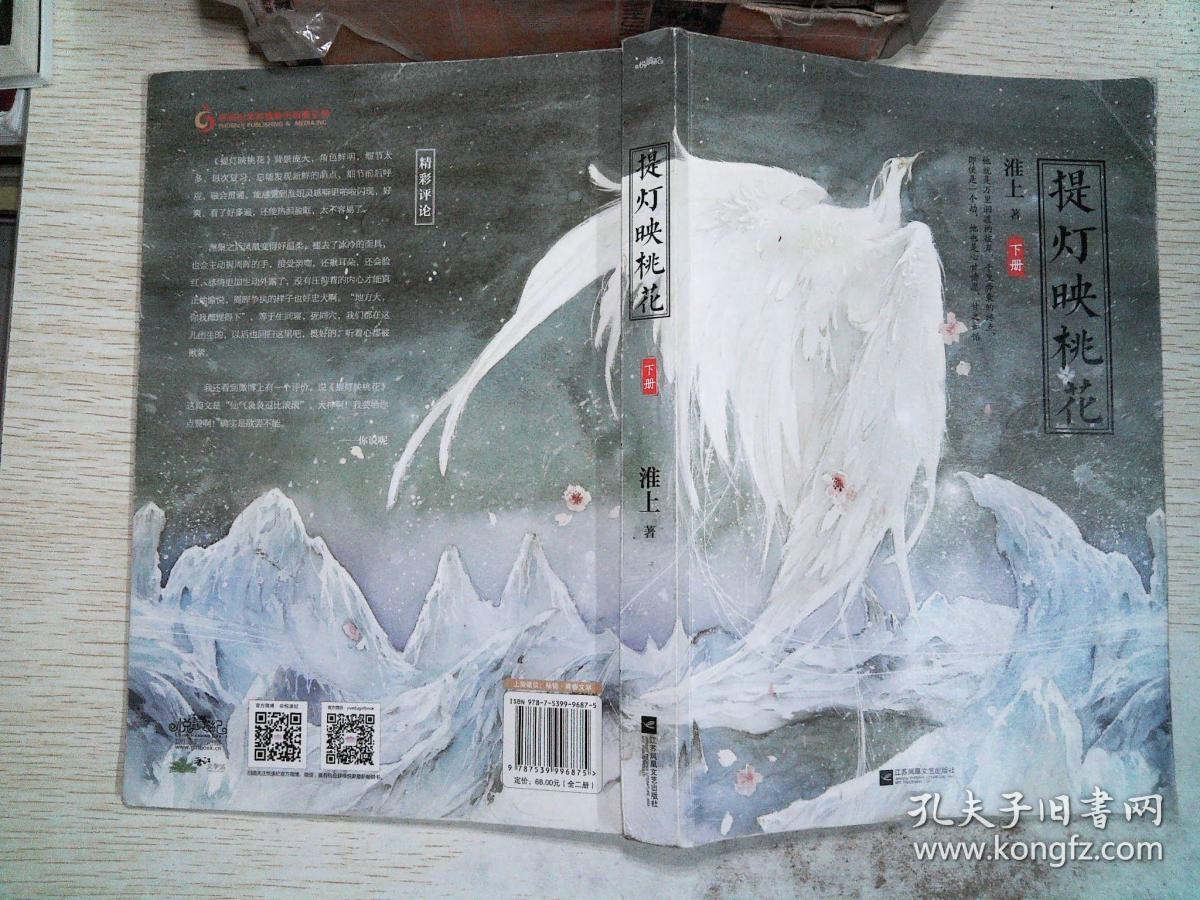 提灯映桃花 下册