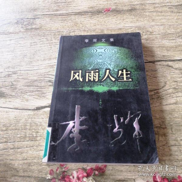 李辉:风雨人生