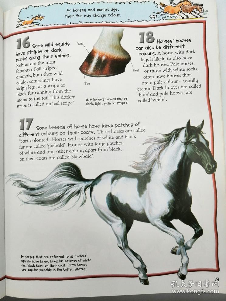 100 facts-horses & ponies 英文原版-《〈100个事实〉系列百科书:马
