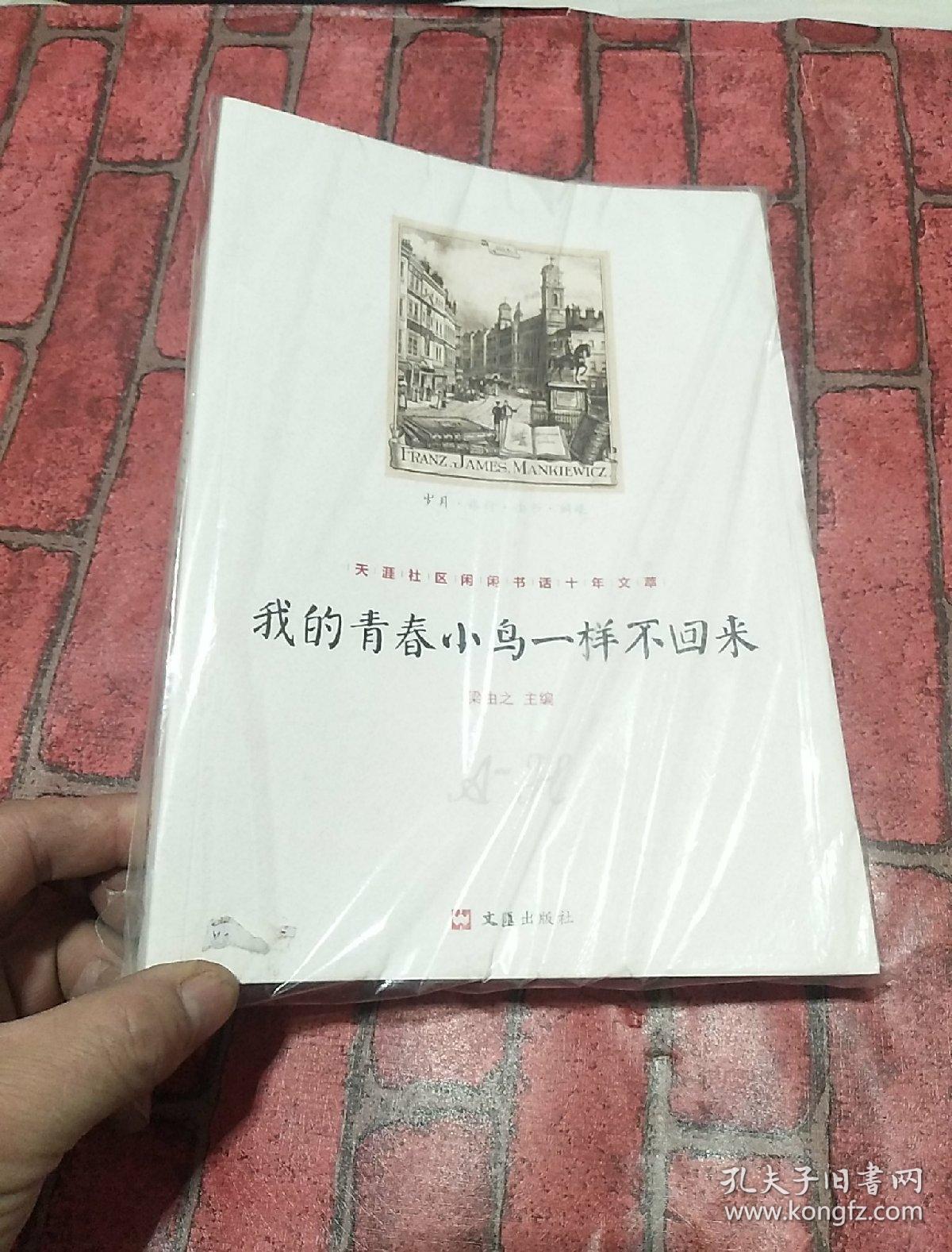 我的青春小鸟一样不回来:天涯社区闲闲书话十年文萃