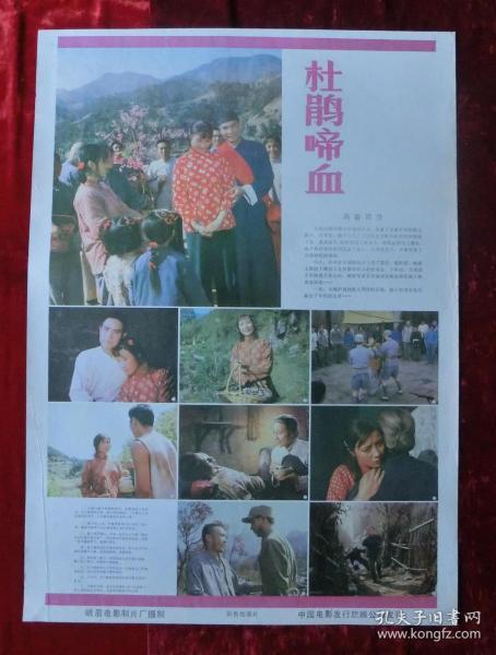 2开电影海报:杜鹃啼血(1984年)
