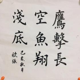 手写书法作品 鹰击长空 鱼翔浅底 35cm