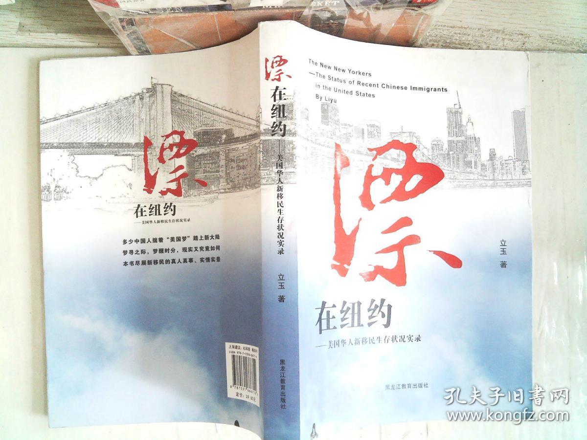 漂在纽约:美国华人新移民生存状况实录