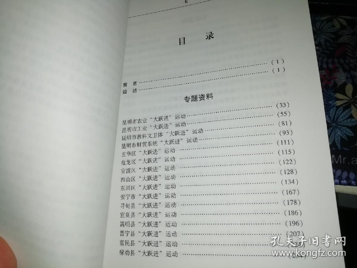 大跃进运动昆明卷2006年一版一印原版书籍作者厉忠教主编出版社云南