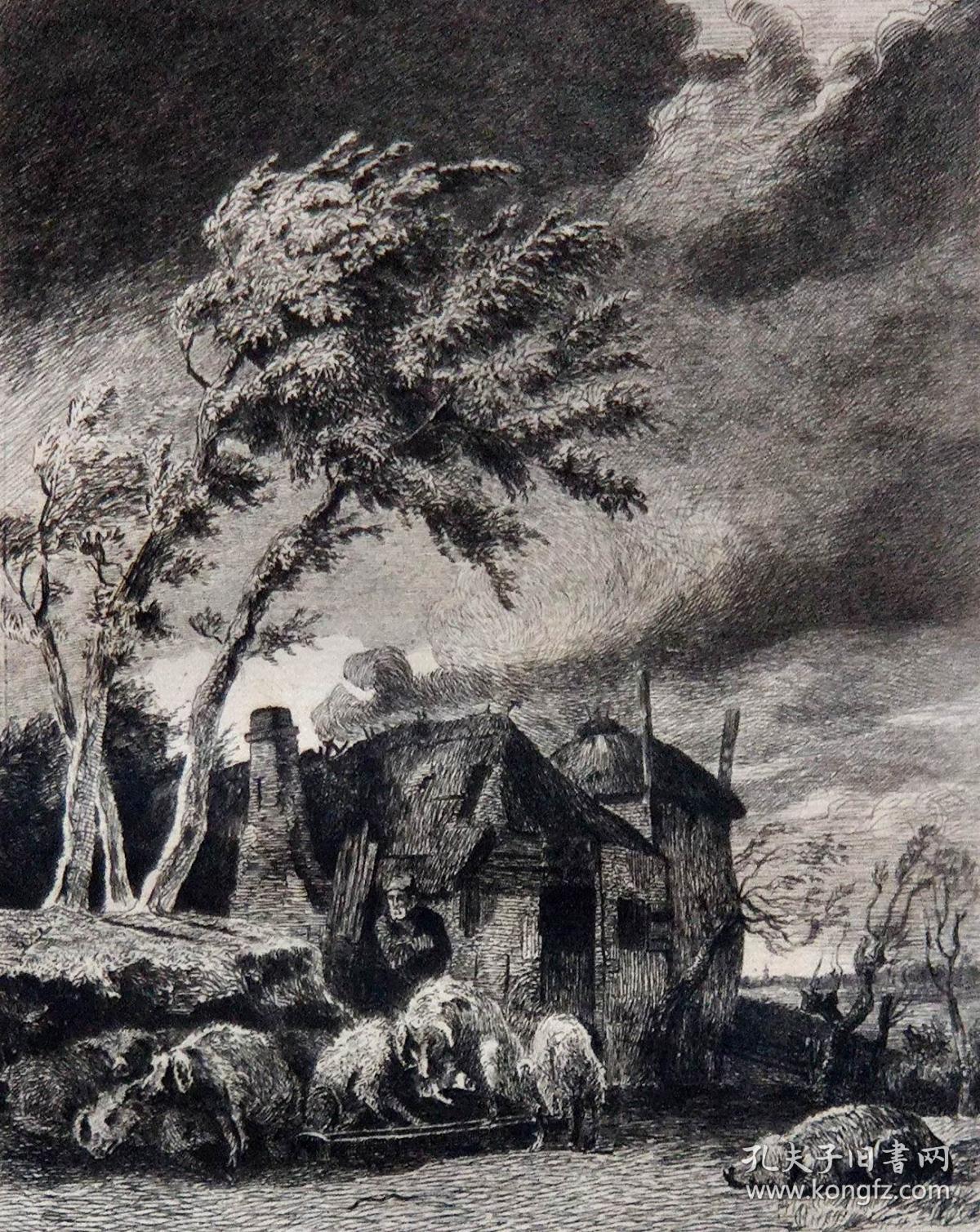 43x30cm/此同版本版画大英博物馆名画外国铜版画作品那样动物的画雕刻