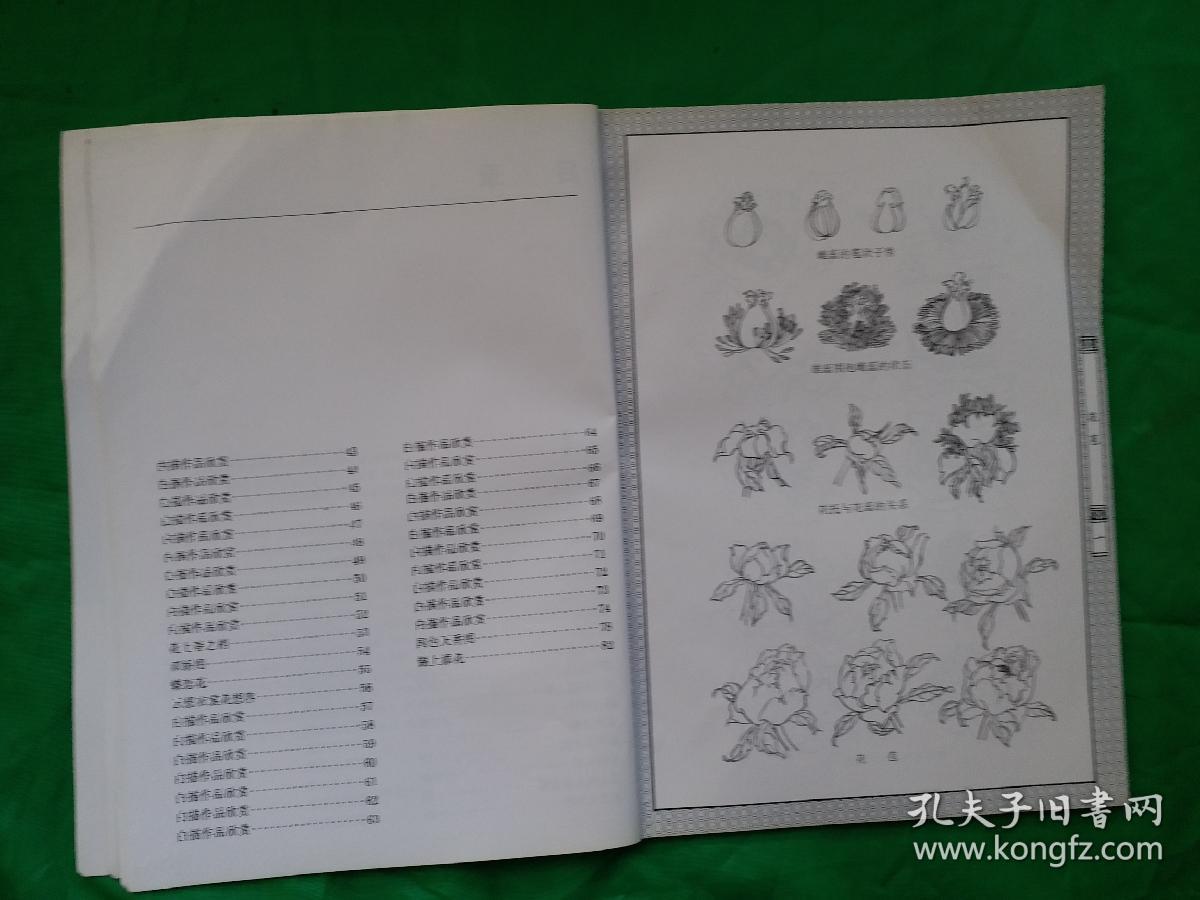 牡丹花谱曲谱完整版_牡丹花简笔画(5)