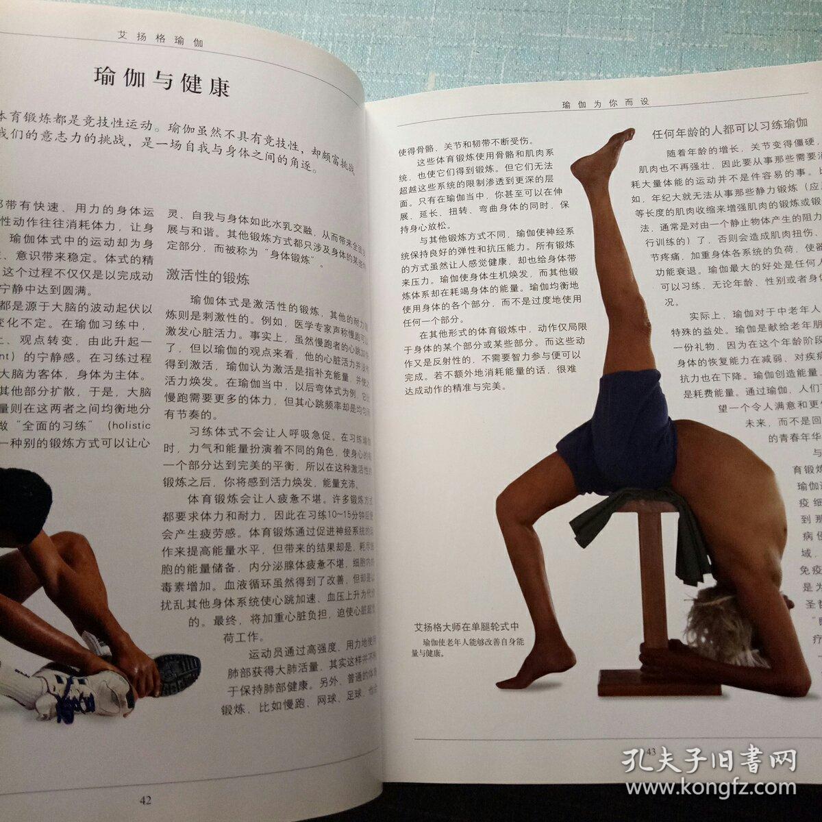 4、艾揚格瑜伽的密集練習和精確練習這兩本書哪個更好 