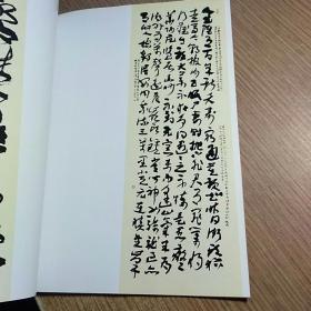 魅力中国一一书法魅力人物梁冰