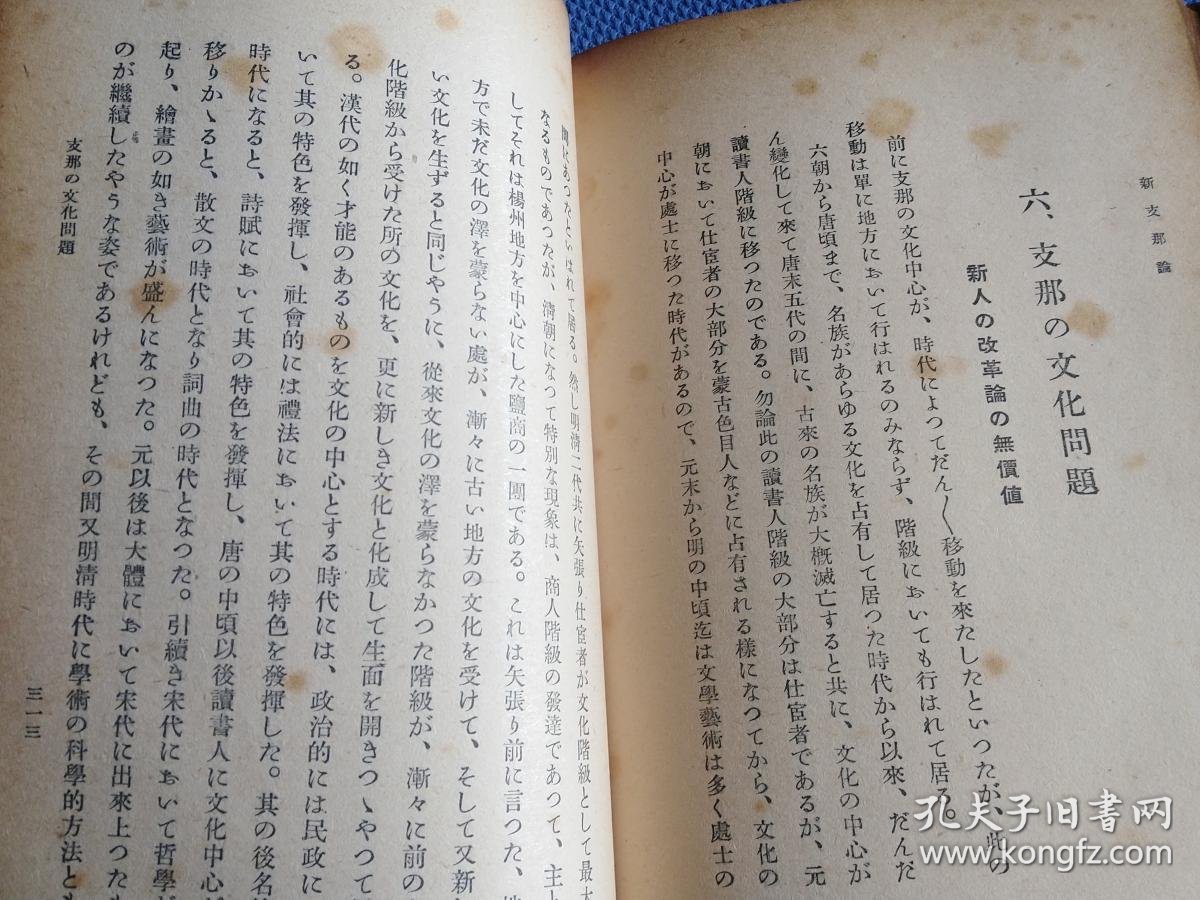 02a6cb9a5274ddc5_b.jpg