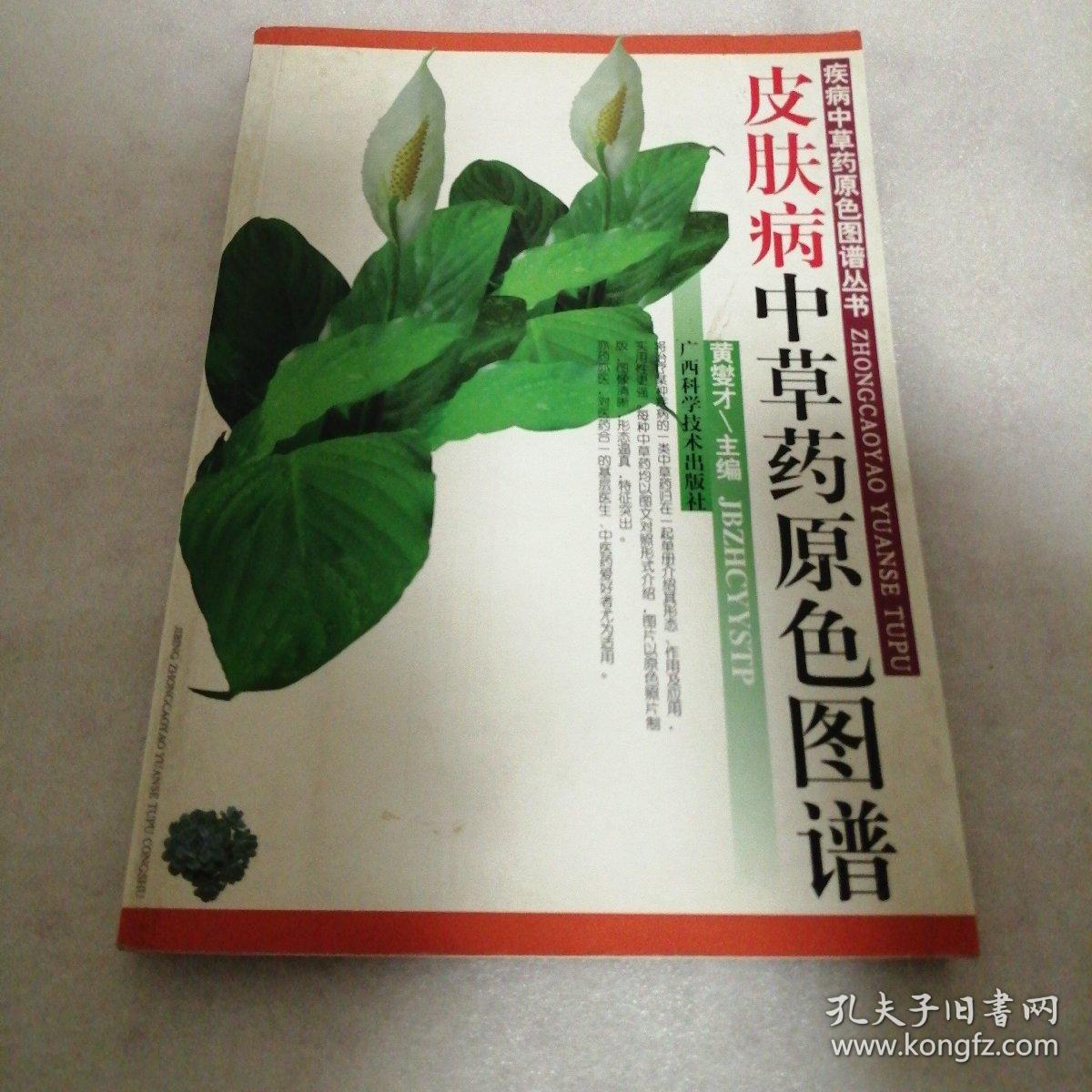 皮肤病中草药原色图谱疾病中草药原色图谱丛书