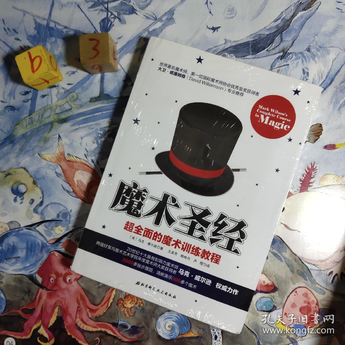 魔术圣经 超全面的魔术训练教程 有笔迹