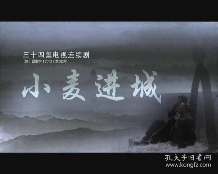 电视剧【小麦进城】6dvd 王茜华/罗刚/王丽云/丁洋/常波/赵毅