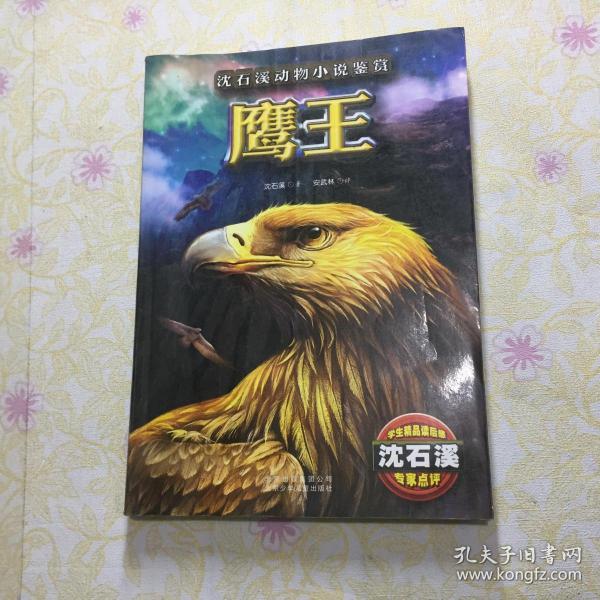 鹰王