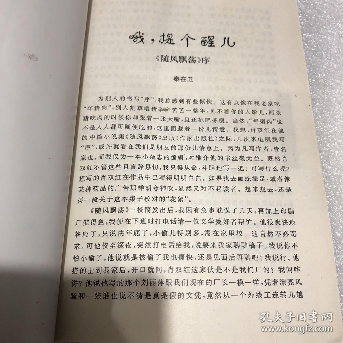 肖双红中篇小说集 随风飘荡