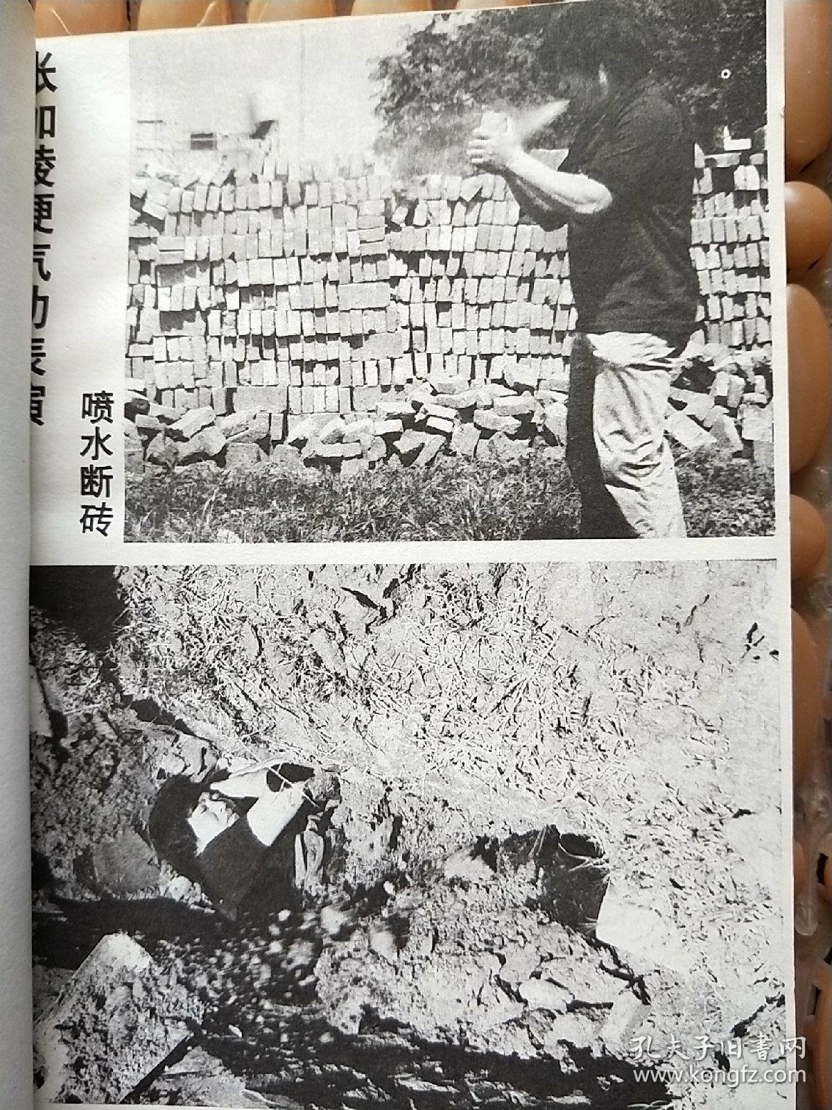 天王寺硬气功:气功大师张加陵传奇 有图 一版一印 请看图