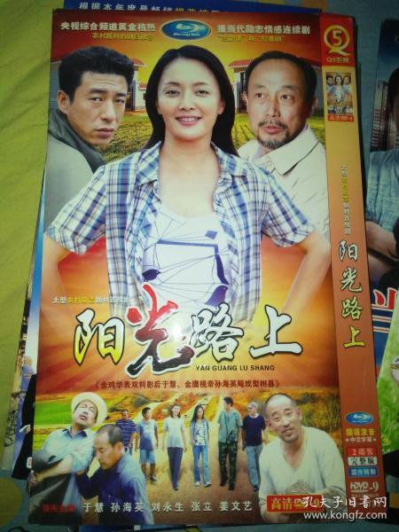 电视剧dvd简装2碟 阳光路上 于慧孙海英张立刘永生姜文艺