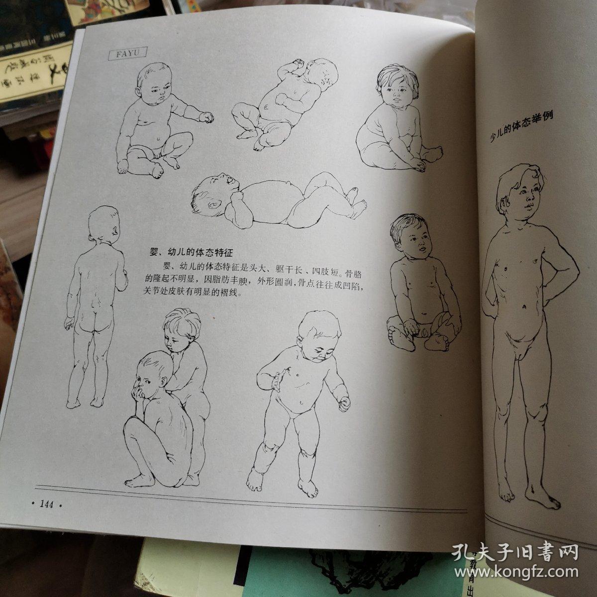人体造型基础