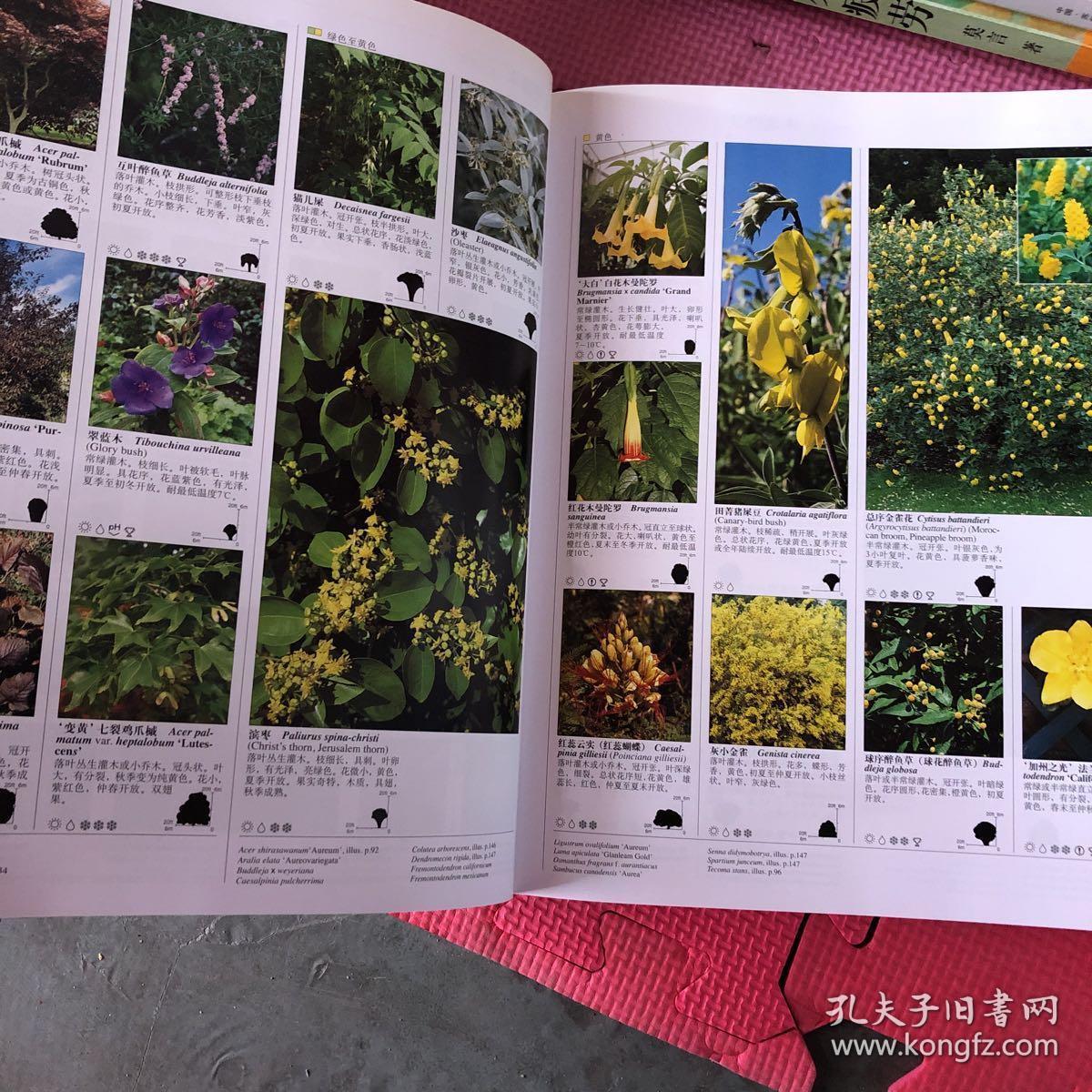 dk 世界园林植物与花卉百科全书