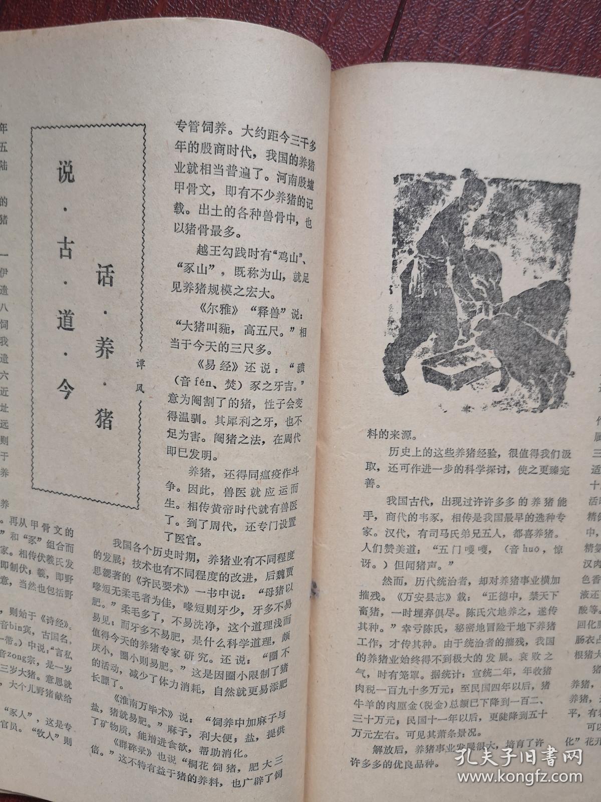 大约多少年前人类人口达到一亿_南宁有多少人口2020年(2)