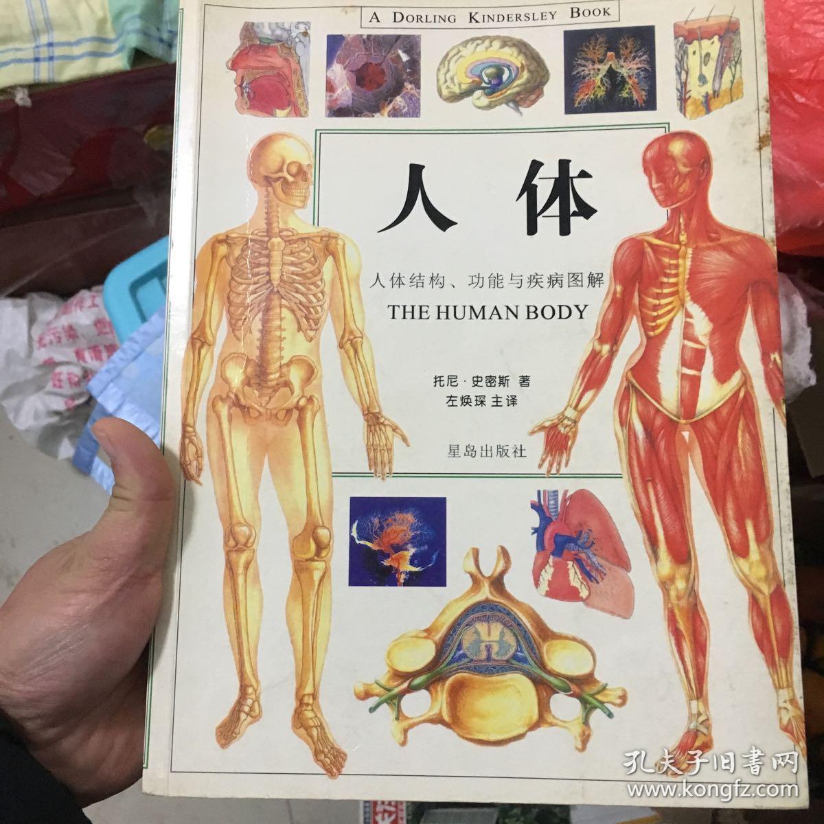 —人体——人体结构功能与疾病图解