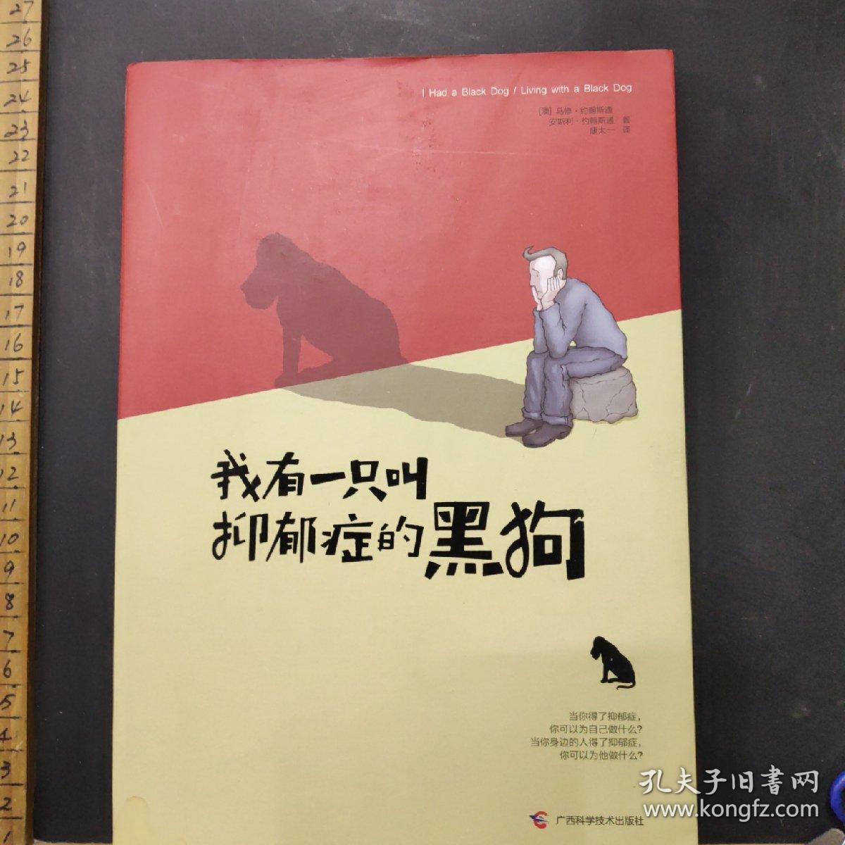 我有一只叫抑郁症的黑狗
