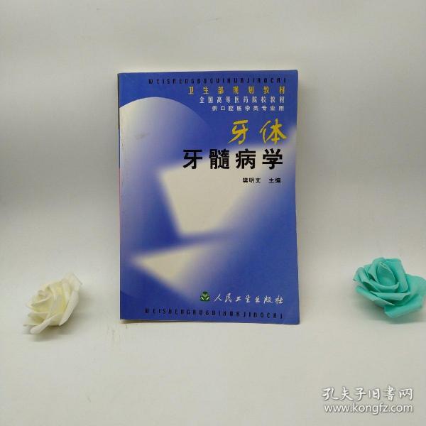 牙 体 牙髓病学
