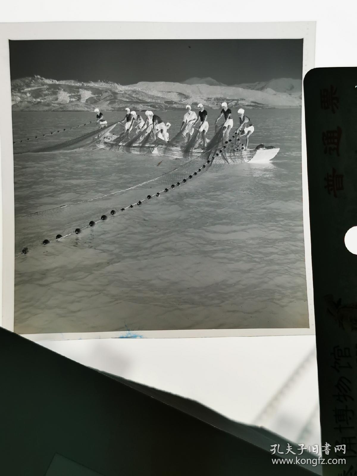 1975安徽画报底片一张:霍邱城西湖渔民收网