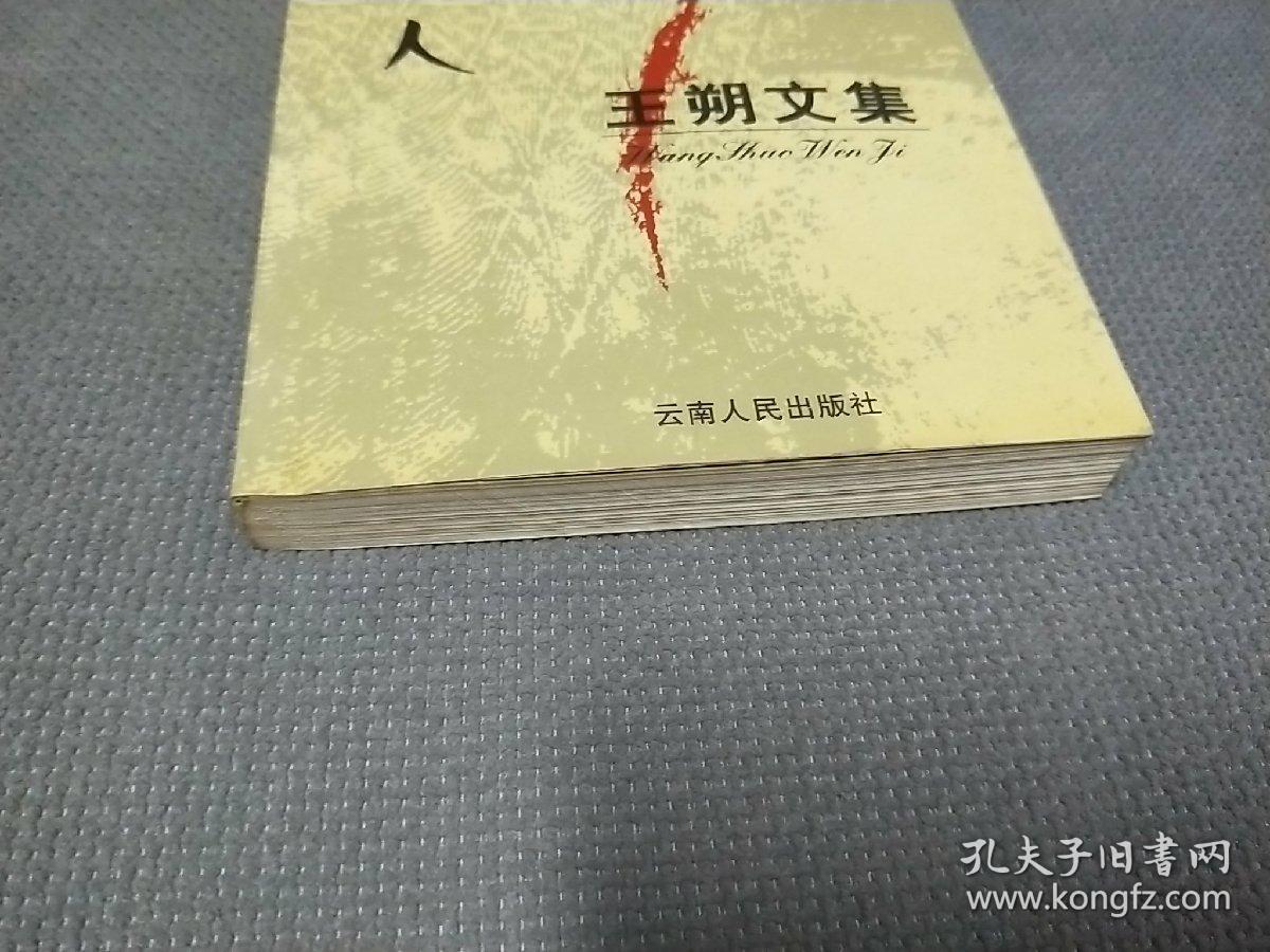 王朔文集:橡皮人