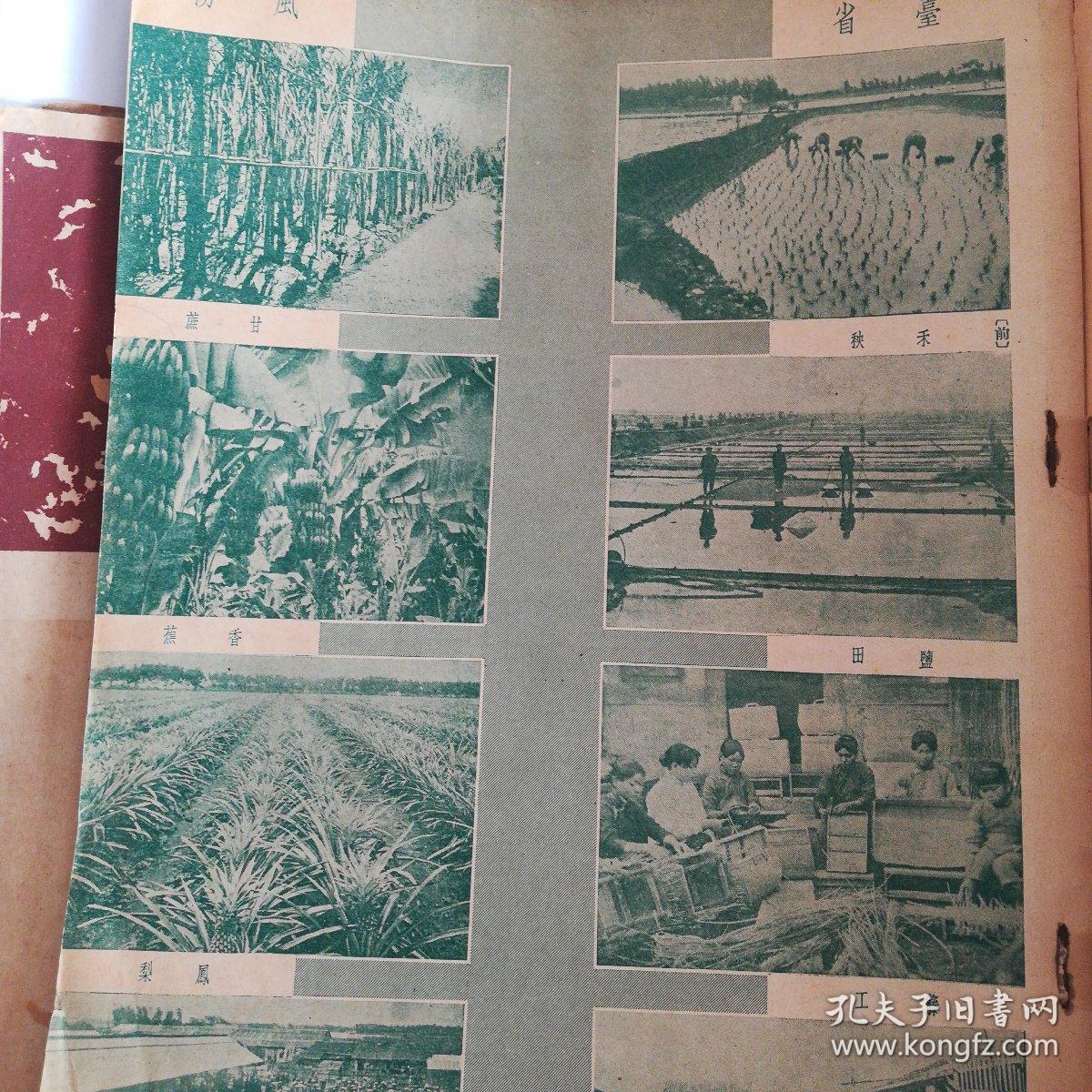 海安镇总人口_天津总人口曲线图(2)