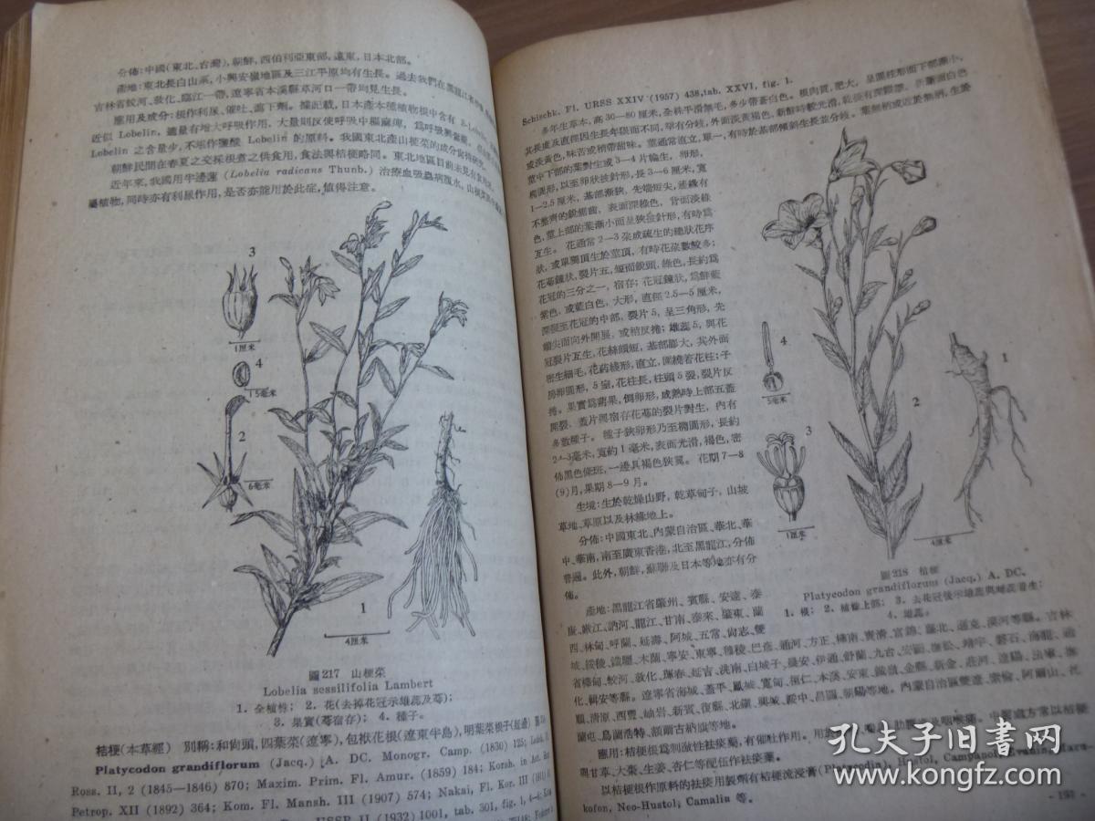 东北药用植物志_中国科学院林业土垠研究所_孔夫子