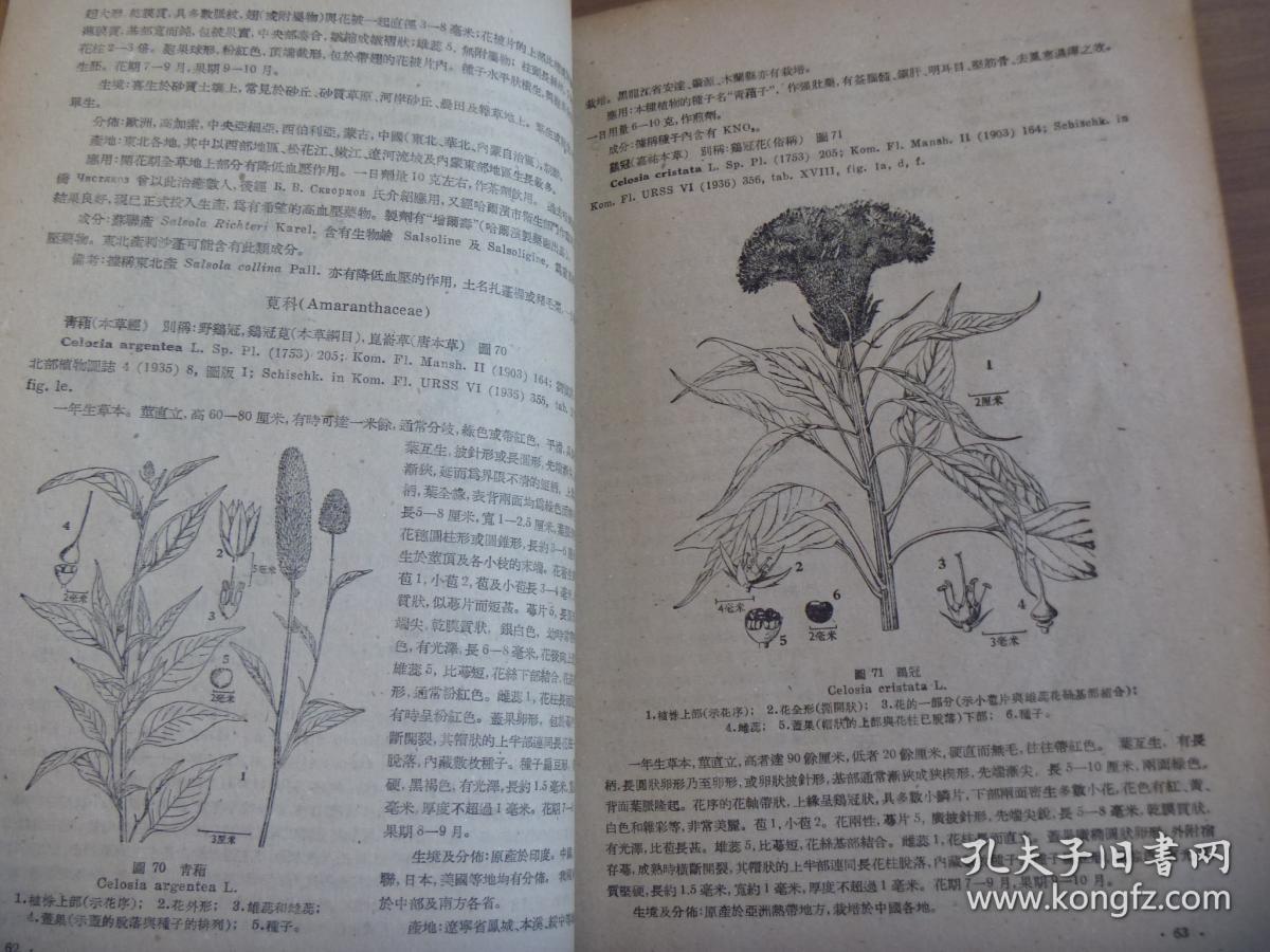 东北药用植物志_中国科学院林业土垠研究所_孔夫子