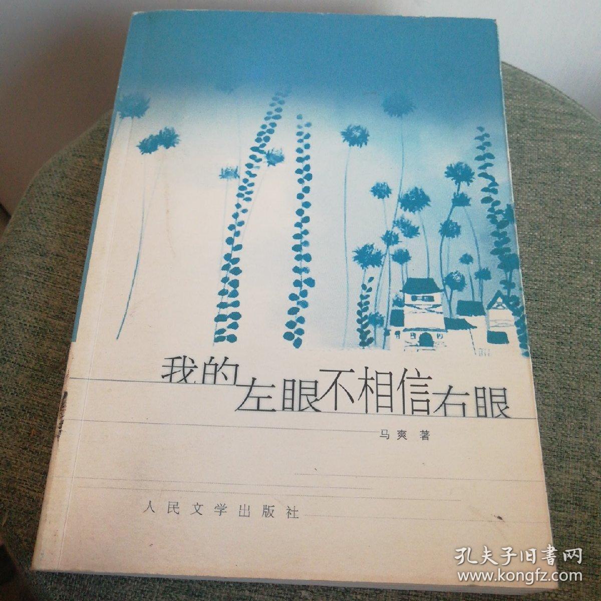 我的左眼不相信右眼