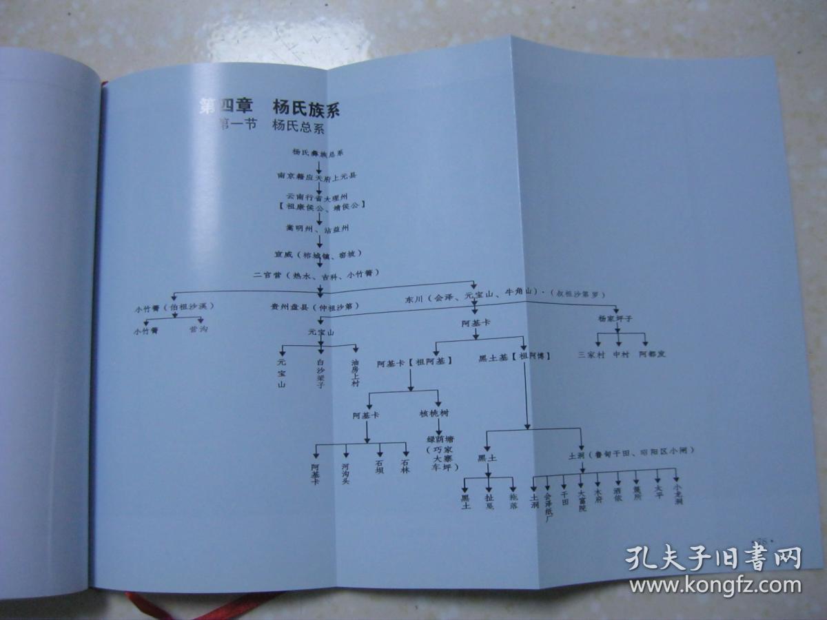 滇东北杨氏彝族族谱(先祖沙第罗公为东川(会泽),昭通