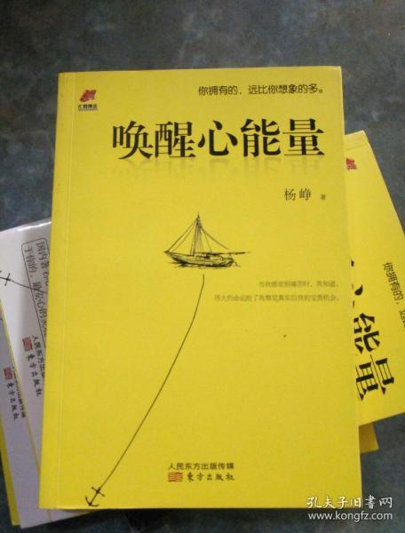 唤醒心能量:你拥有的远比你想象的多