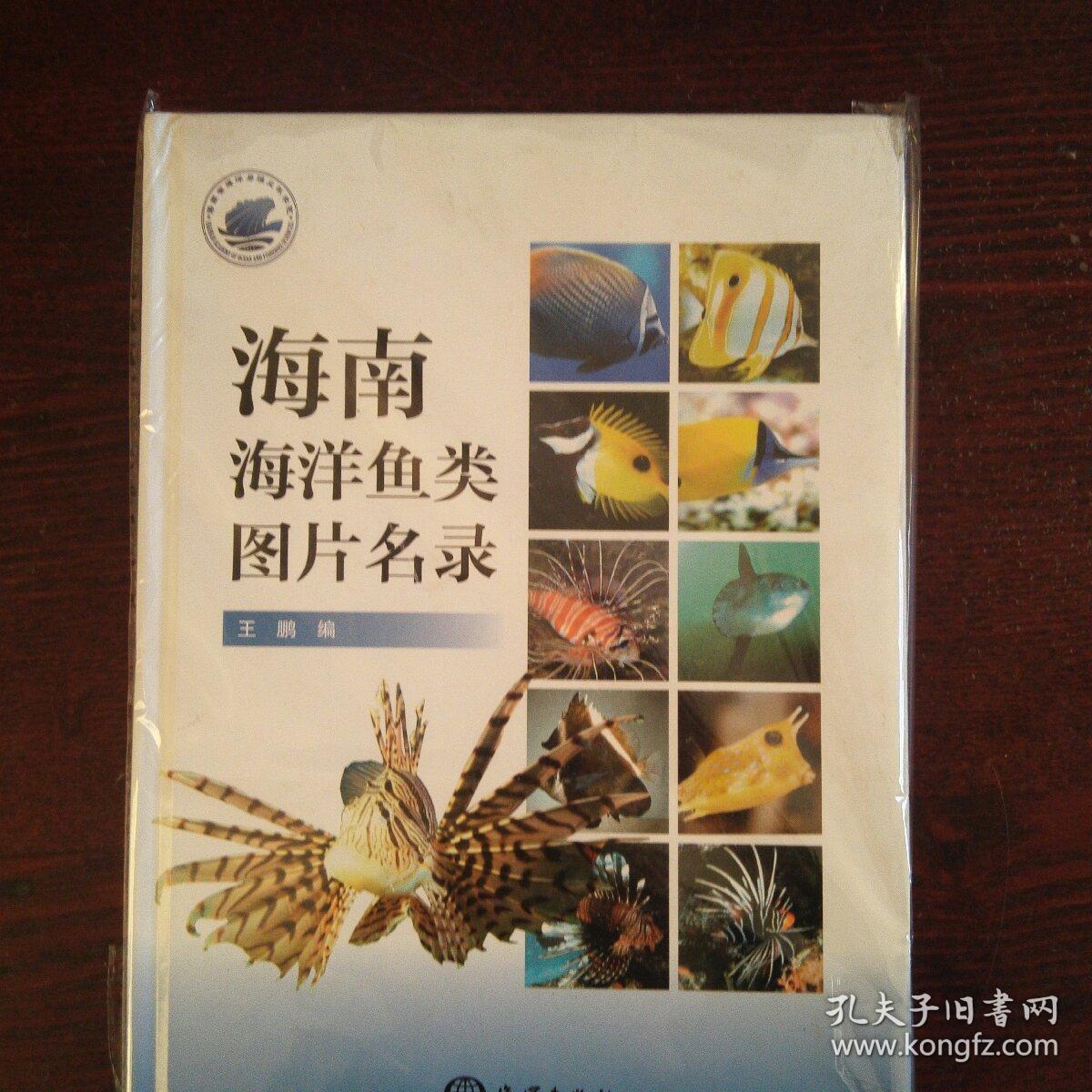 海南海洋鱼类图片名录