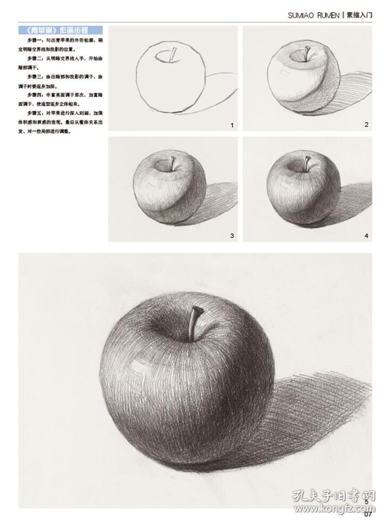 中国纺织出版社 素描入门美术基础教学参考书 素描书入门自学零基础