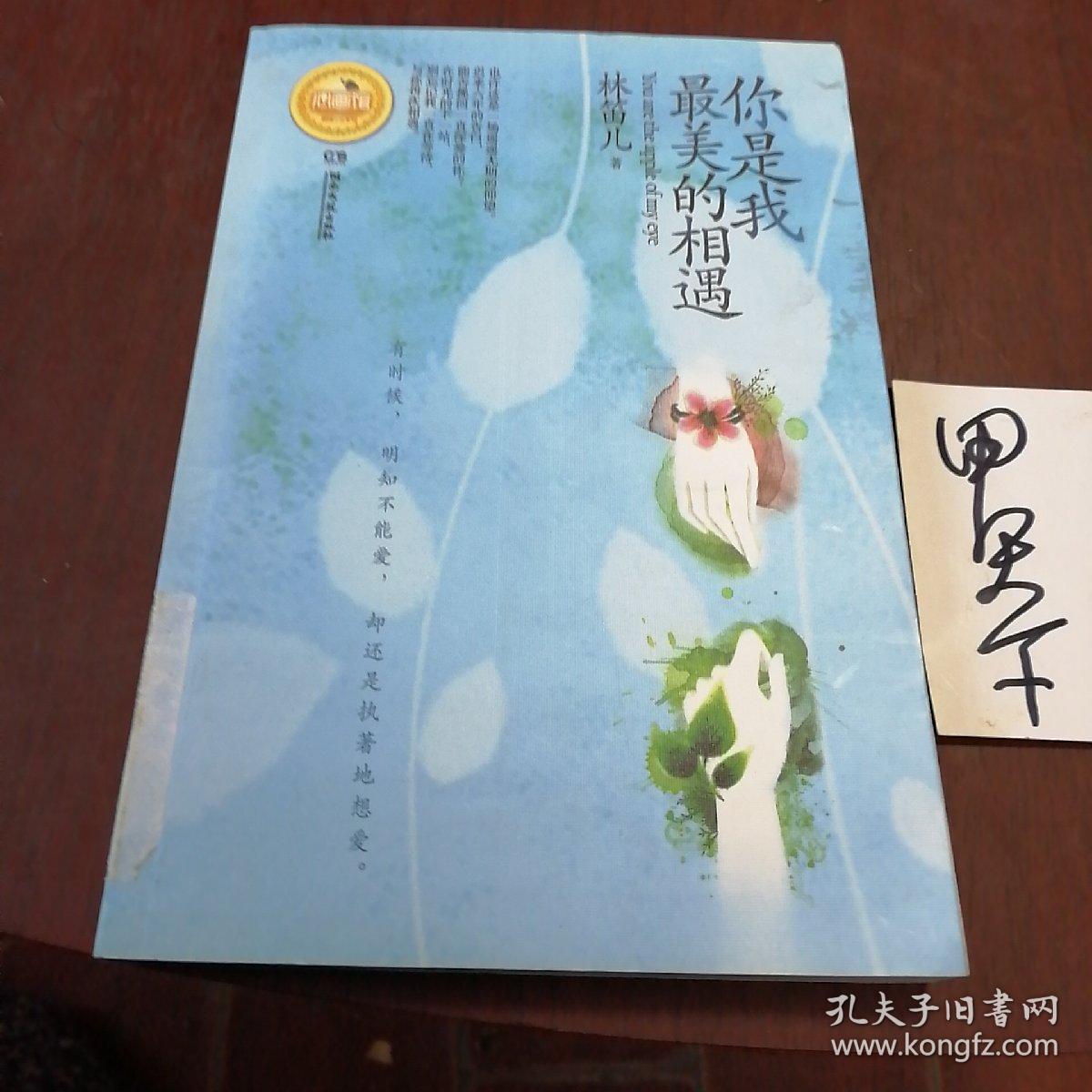 你是我最美的相遇