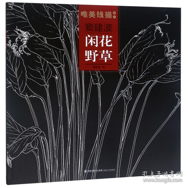 唯美线描精选 窦建波 闲花野草