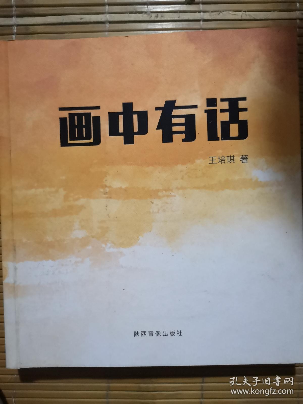 画中有话