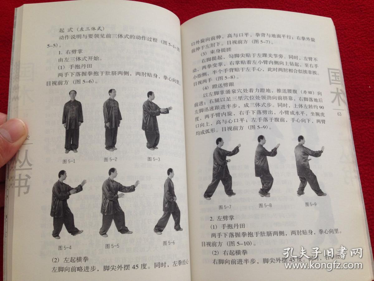 形意拳四象五行精义(没有光盘)实物拍照 按图发货【正版原书/一版3印