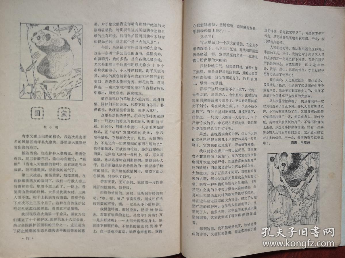 大约多少年前人类人口达到一亿_南宁有多少人口2020年