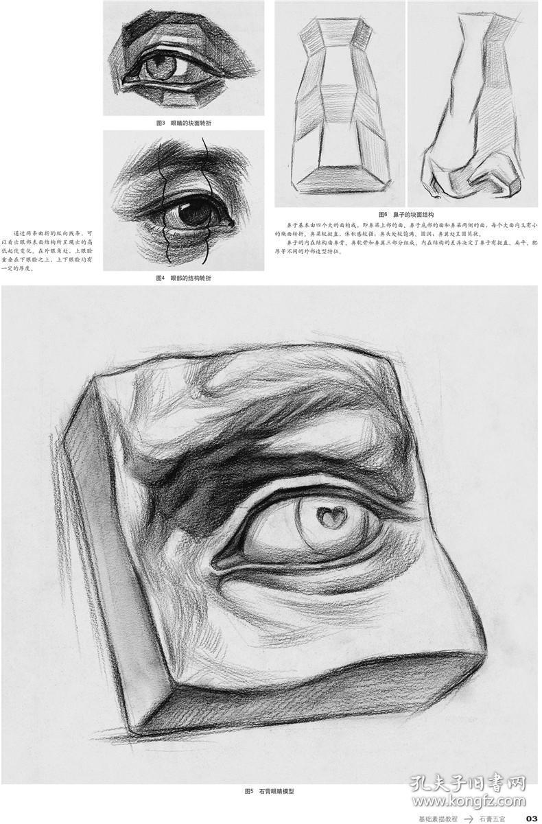 眉毛 眼睛 鼻子 嘴巴 耳朵 入门学习石膏五官结构光影素描表现技法