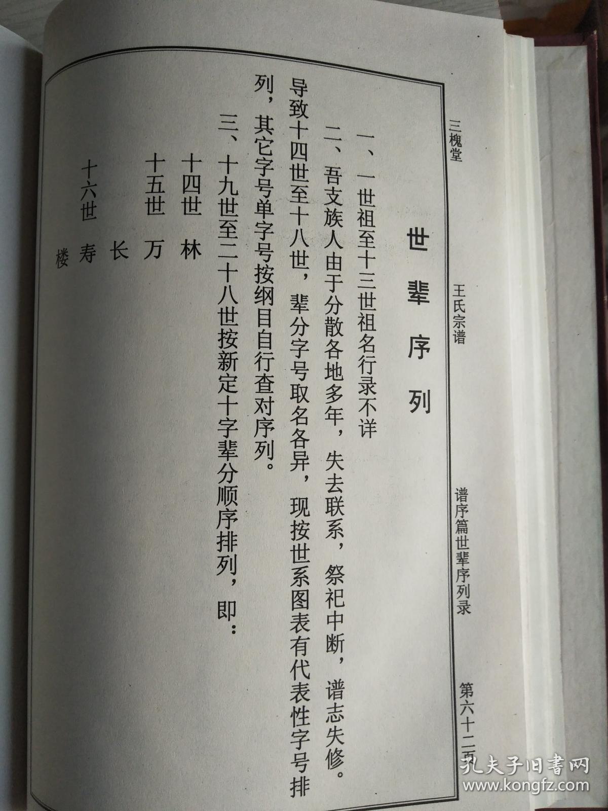 王氏宗谱三槐堂建湖支硬精装16开187页2003年续修建湖美宜家藏书数