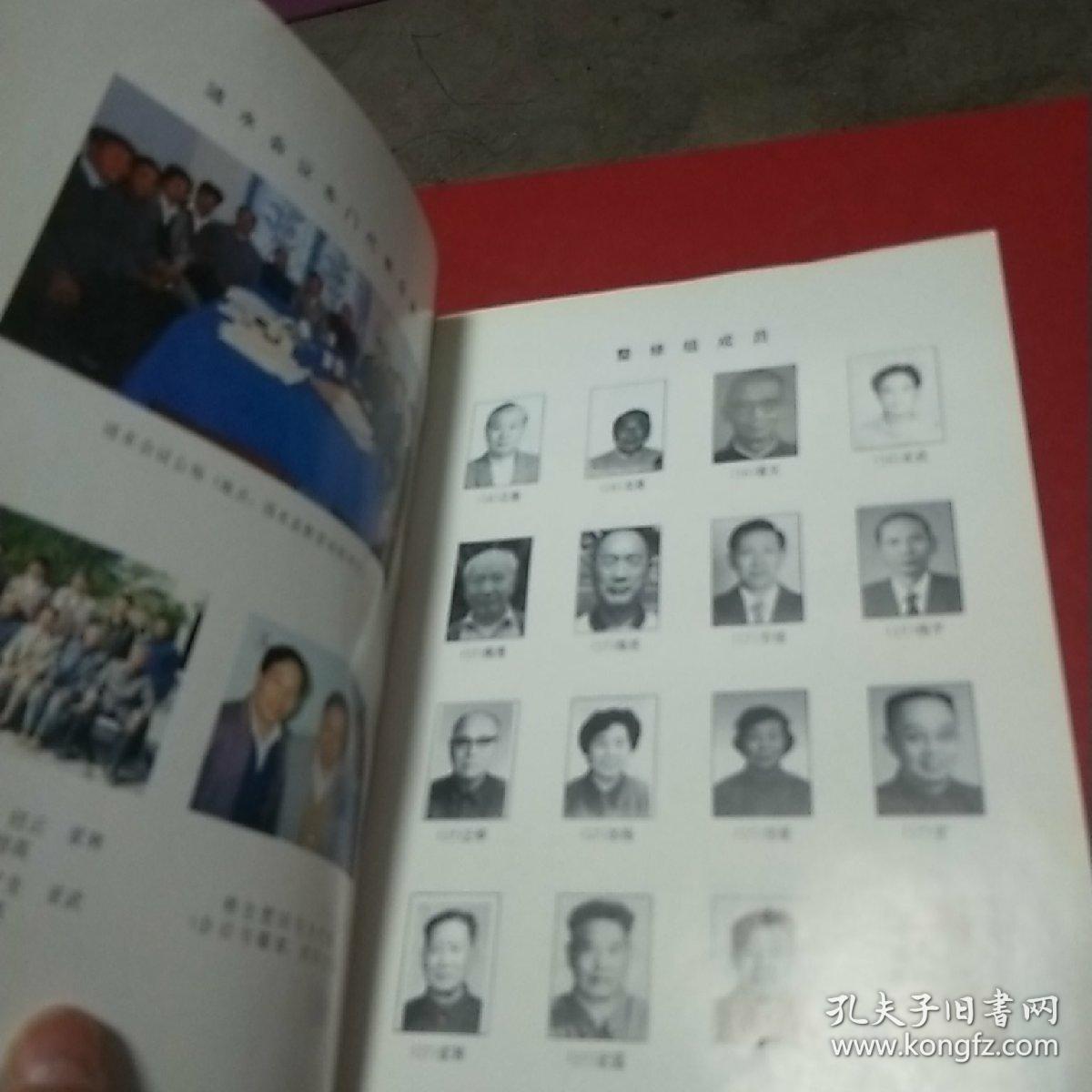 家谱-薛氏族谱【三凤堂 1995年续修 售原谱