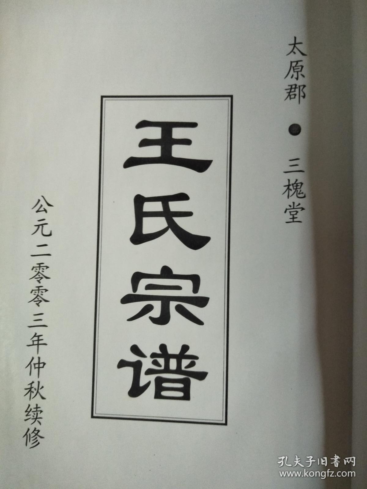 王氏宗谱三槐堂建湖支硬精装16开187页2003年续修建湖美宜家藏书数