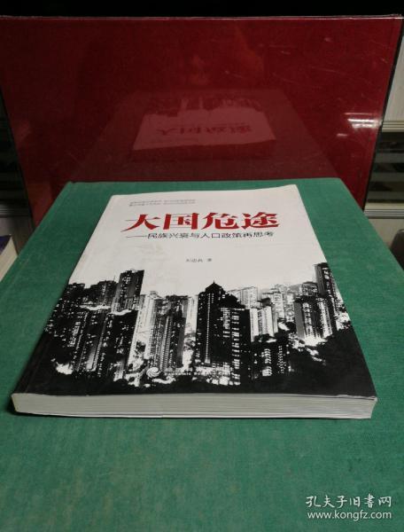 大国危途:民族兴衰与人口政策再思考(刘忠良 著)_简介